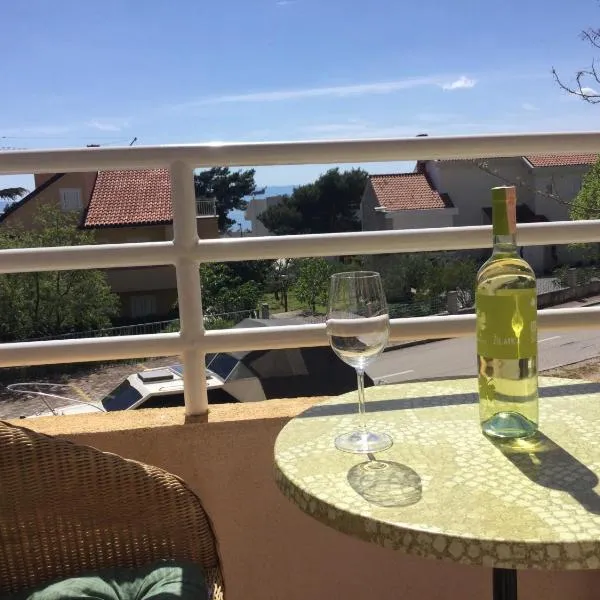 Promajna apartman, hotel en Promajna