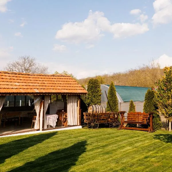 Pensiunea Doina și Ion, hotel v destinaci Mileştii Mici