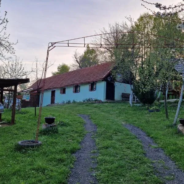 La sălaşul fermecat în Cheile Carasului、Iabalceaのホテル