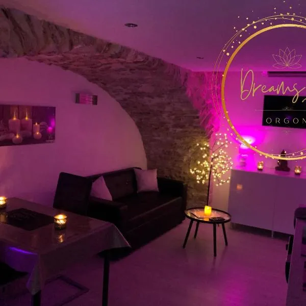 Appartement Love room avec jacuzzi et hammam privatisé Lieu insolite en amoureux Spa détente assurée avec de doux massages en options sur demande, hotel din Orgon