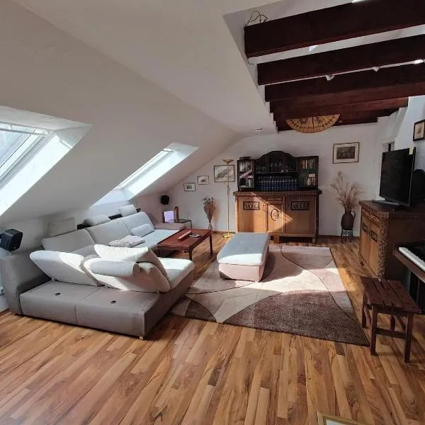 Ferienwohnung Biene, hotel v destinaci Saarbrücken