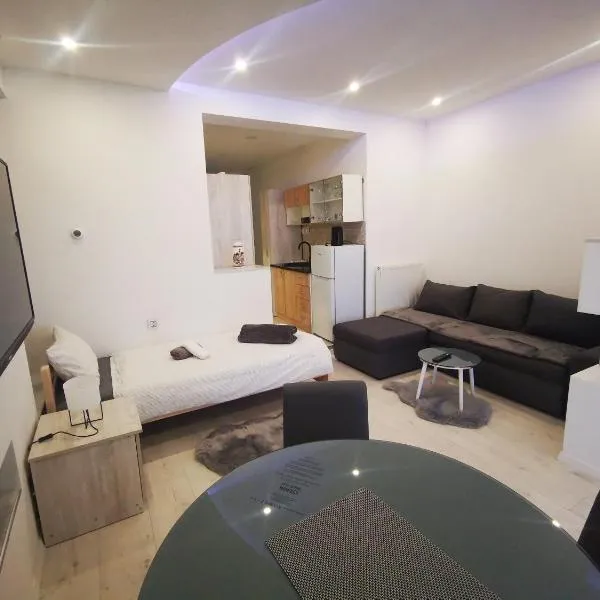 STUDIO APARTMANI RO-MA, hotel em Živike