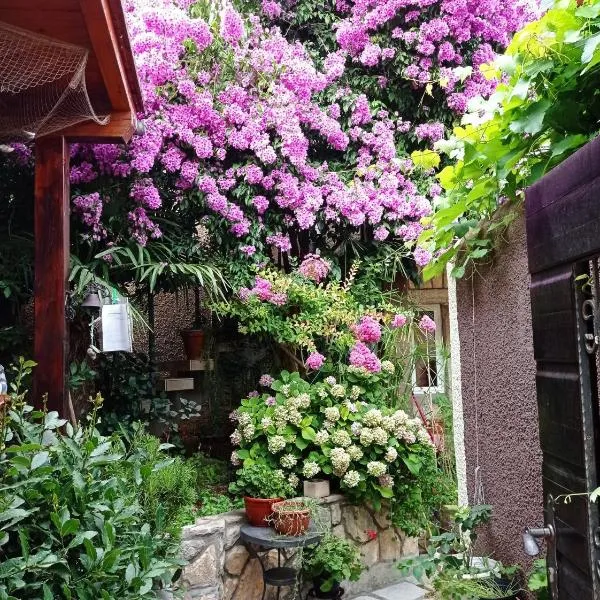Apartman i Sobe Čule Cres, hotel v Cresi