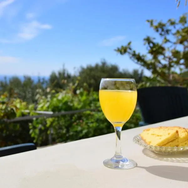 Perfetto Country House - Myrtos View, hotell i Anomeriá