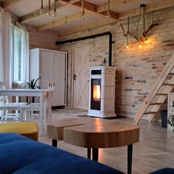 Domek Leśny bungalow, apartament typu studio, hotel in Rudawica