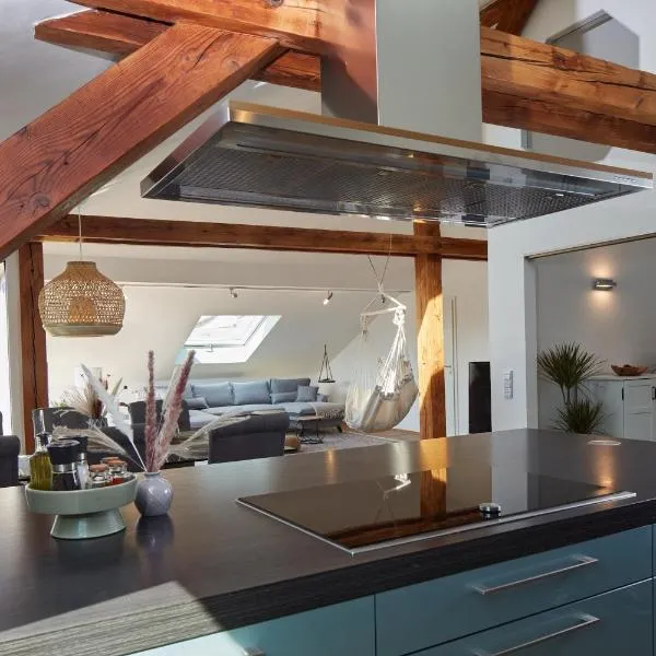 ⸨⸩ Sunset Penthouse: Messe - Siemens - DB - MAN ⸨⸩, hotel in Neurenberg