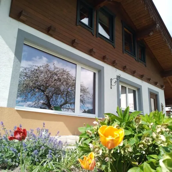 Ferienhaus Herrenschmiede, hotel v destinaci Obervellach