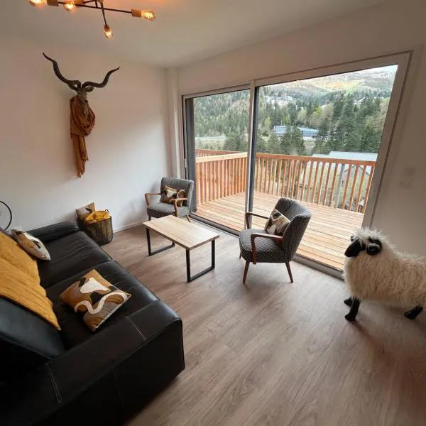 APPARTEMENT AUX PIEDS DES PISTES DE SKI, hotel v destinaci Laveissière