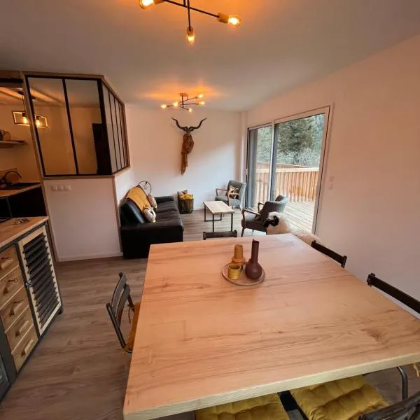 APPARTEMENT AUX PIEDS DES PISTES DE SKI, Hotel in Laveissière