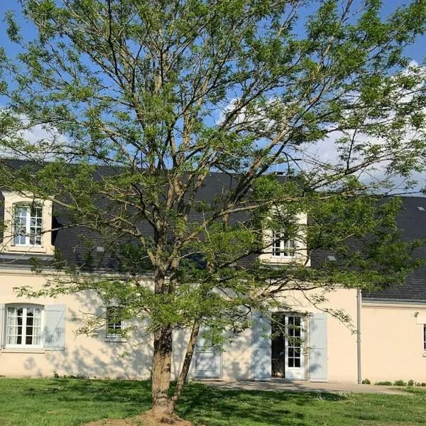 Maison familiale entre Beauval & Chambord, hotel in Pruniers