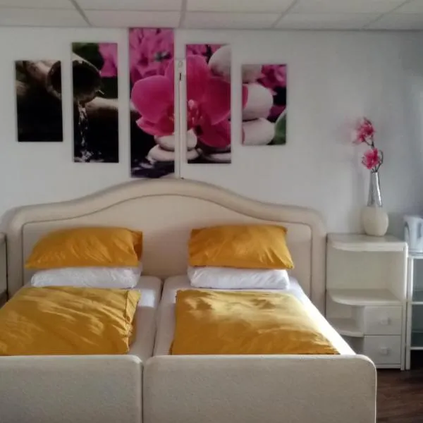 B&B aan het water, hotel v destinaci Earnewâld