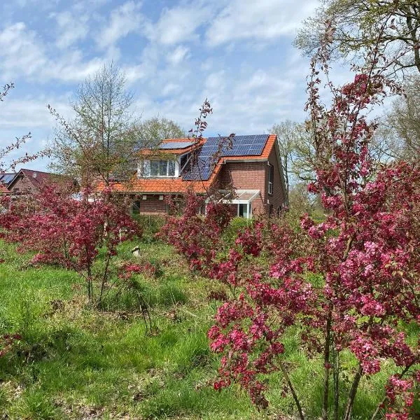 Friedeburga, Hotel in Friedeburg