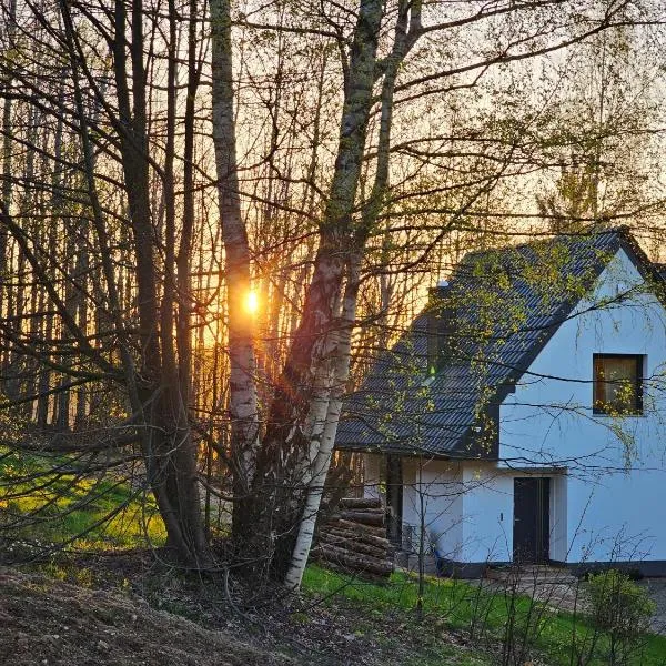 Wysoka Trawa Gruszków, hotel a Kowary