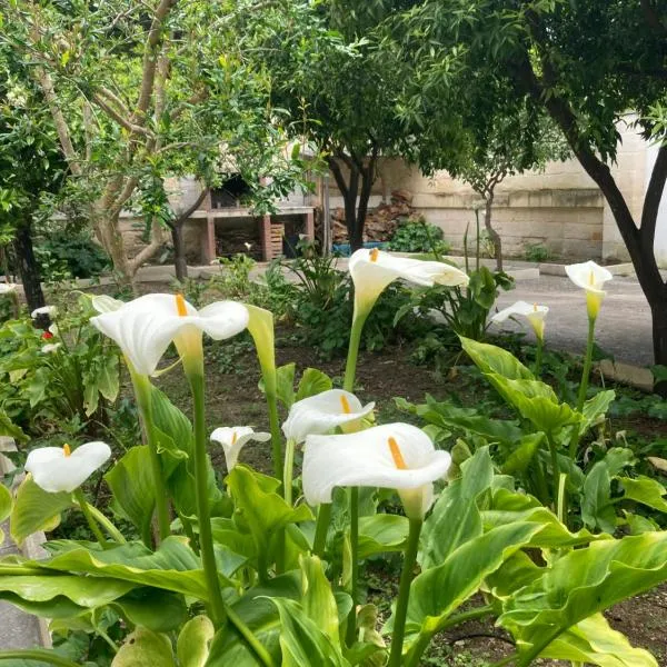Federico's Vila, hotel v destinaci Lecce