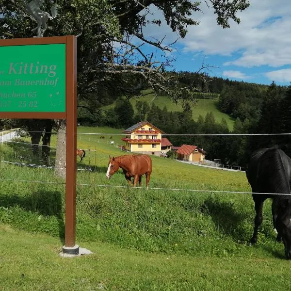 Urlaub am Bauernhof Familie Kitting, hotel v destinaci Vorau