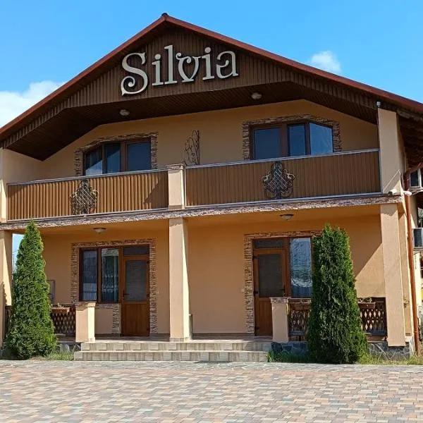 Котедж Silvia, hôtel à Dyyda