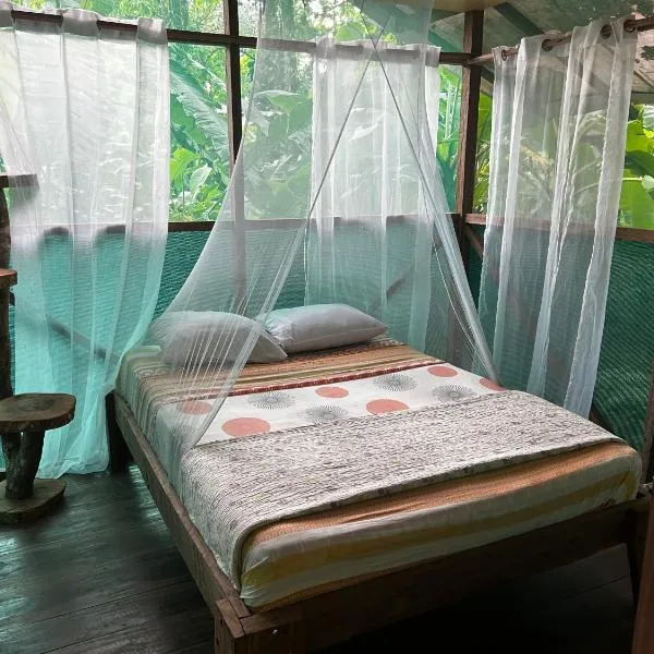 Rio Agujitas Eco Farm hostel and Tours, hotel in Drake