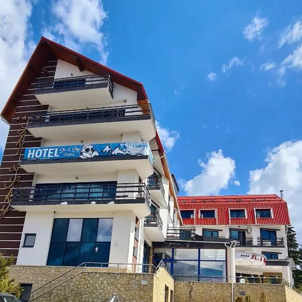 Hotel Ski&Sky, hotel din Timişu de Sus