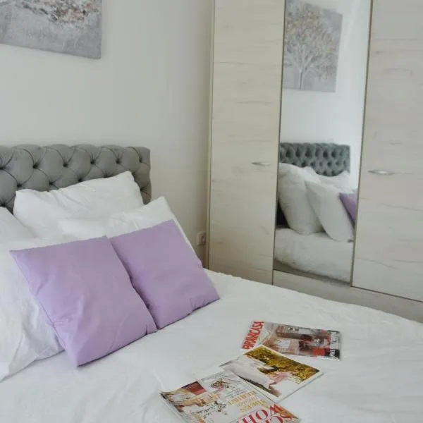 Apartmani Vila Ana, hotel in Gunjica