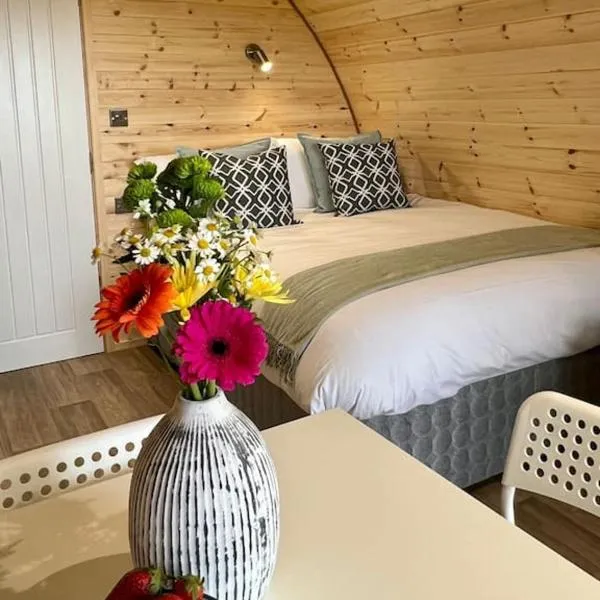 Plumgrove Pod Easkey, hotel v destinaci Sligo