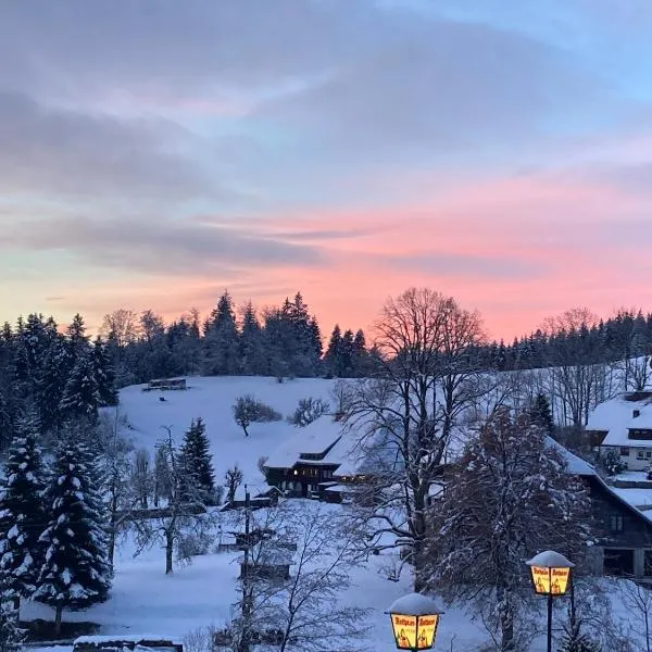 Boutique Hotel and Apartments Pension Sternen, hotel v destinaci Todtmoos