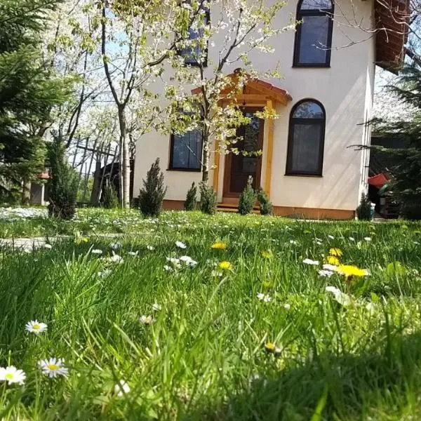 TINY CABIN, hotel v destinaci Brašov