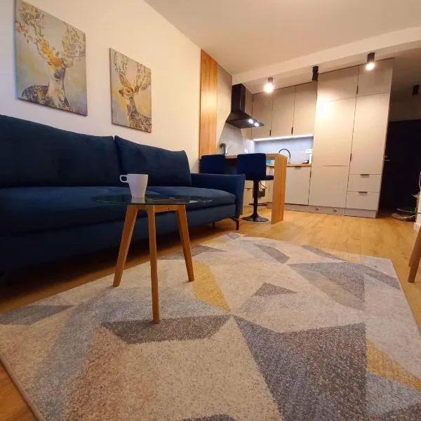 NeoApartments Lotnicza、ヴロツワフのホテル