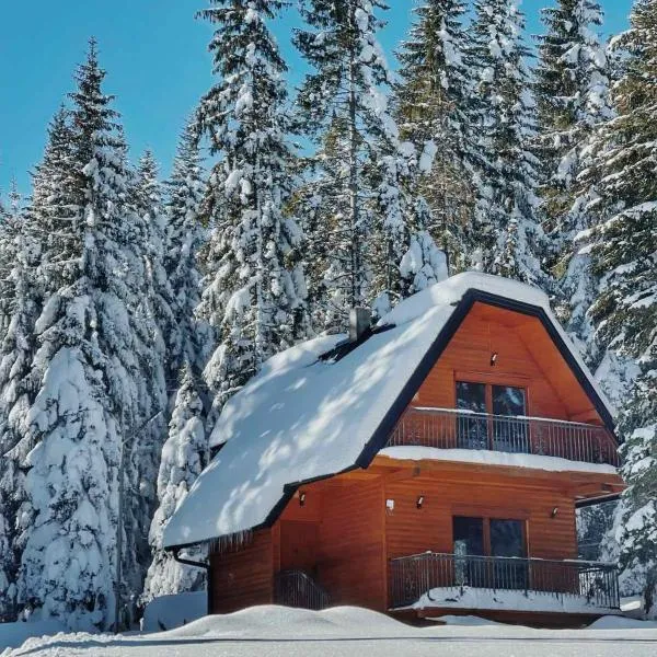 Planinska kuća Dunja, hotel in Jahorina
