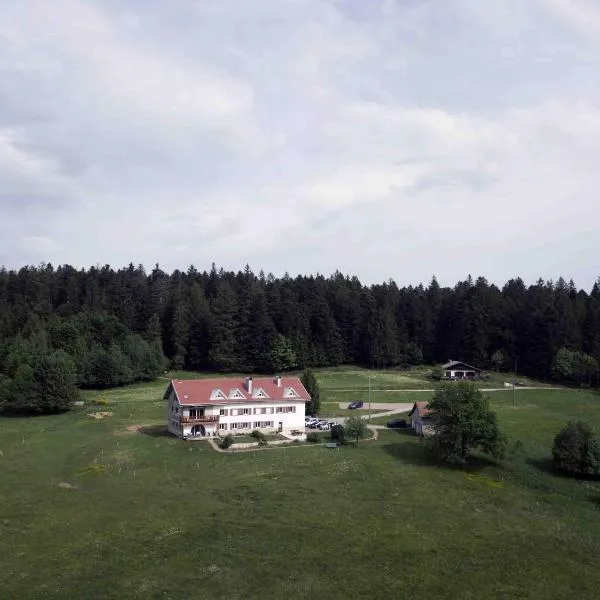 Chambre d'hôtes LES BRIMBELLES, hotel v destinácii Gérardmer