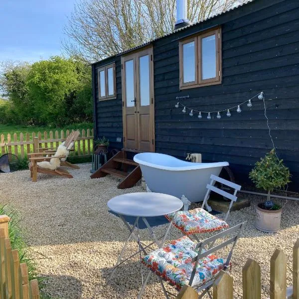 Marsh Farm Glamping Shepherd Hut, hotel in Aller