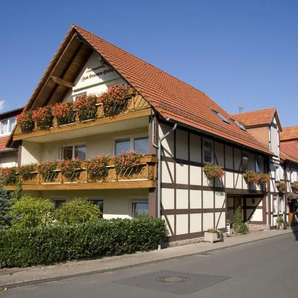 Brauner Hirsch, hotel en Mollenfelde