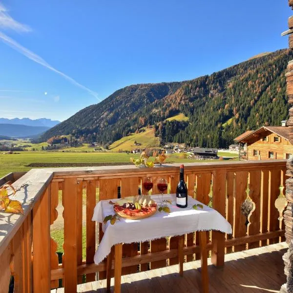 Feldererhof Apt Hochstein, hotel in Santa Maddalena in Casies