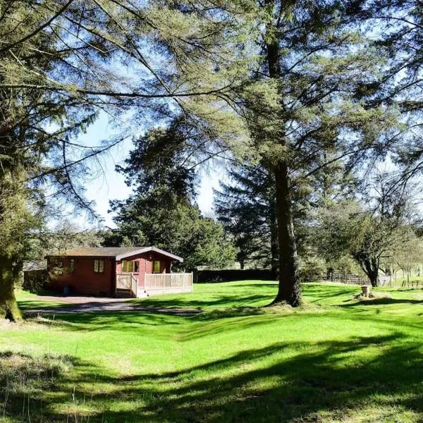 Secluded Pine Lodge 2, hotel in Wigton