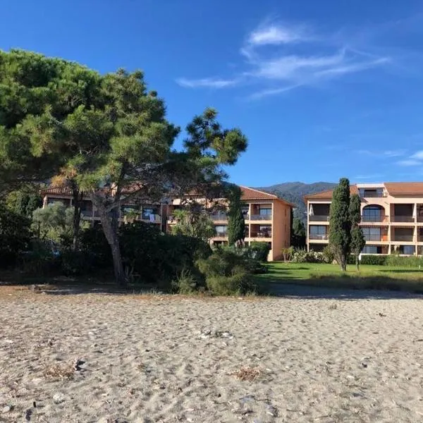 2024 - grand studio avec piscine et plage à 50 m, hôtel à San-Nicolao