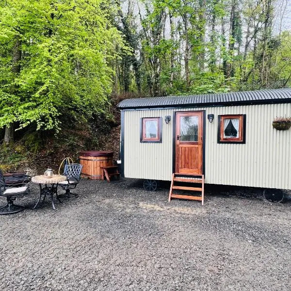 Romantic Shepherds Hut with Hot Tub in The Heart of Snowdonia, hotel in Dolgellau