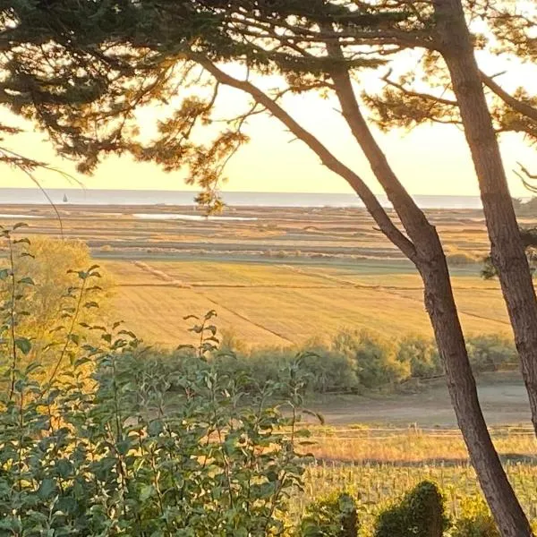 Villa Vieilles Vignes vue mer, hotel Billiers-ben