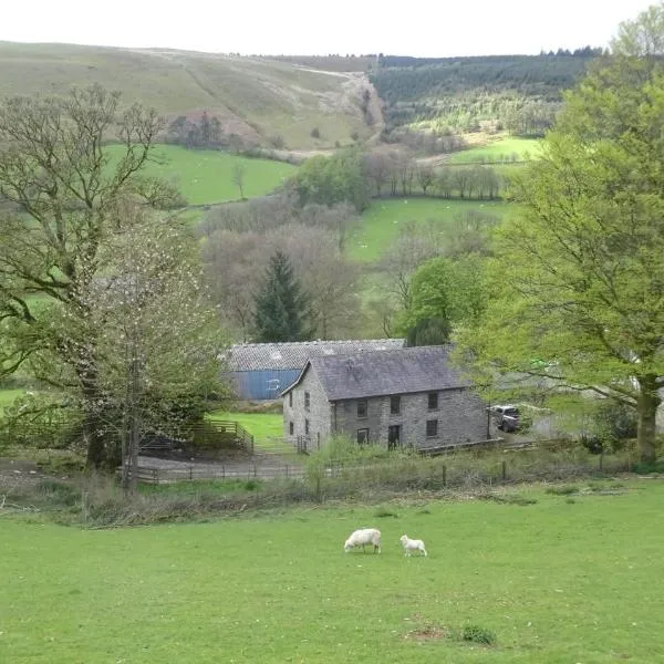 Blaentwrch Farmhouse, hotel v destinaci Llanddewi-Brefi
