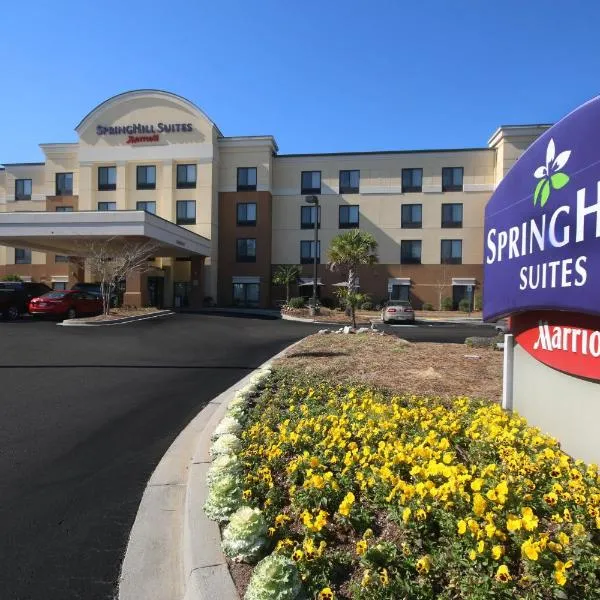 SpringHill Suites by Marriott Charleston North, hotel in Goose Creek