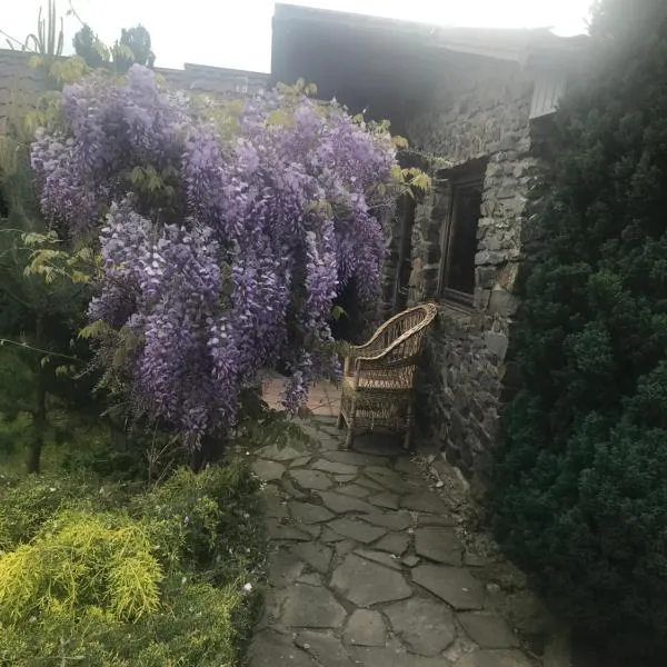 Adonis, hotel v Užhorodu