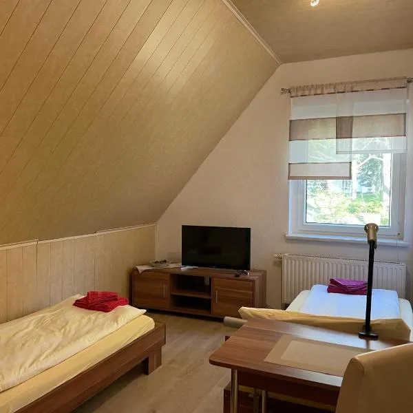 Pension Evi, hotel in Chemnitz