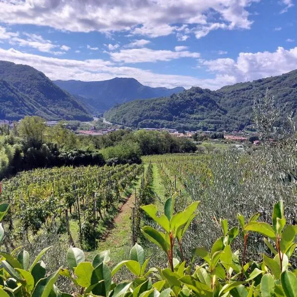 Agriturismo Tenuta La Fratta, hotel in Bagni di Lucca