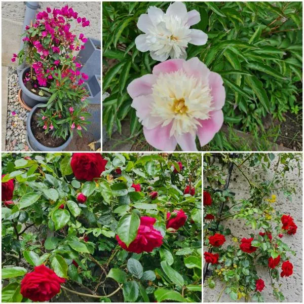 라인스베르크에 위치한 호텔 Ruhige Ferienwohnung in der Natur