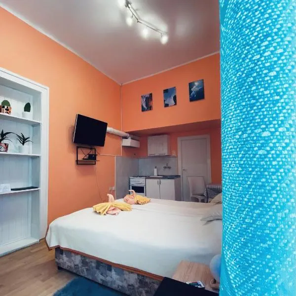 Studio Apartman Burek, hotel in Sombor