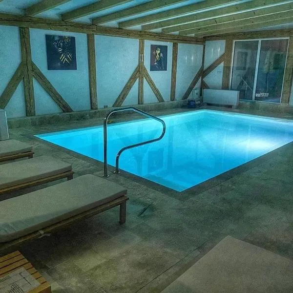 Boutique Vila, hotel in Cristian