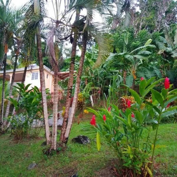 Martinique La petite maison dans la Colline, hotel in Le Lamentin