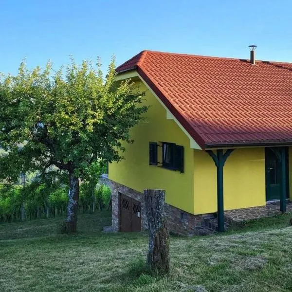 Vikend hiša Vrhe, hotel in Planina pri Sevnici