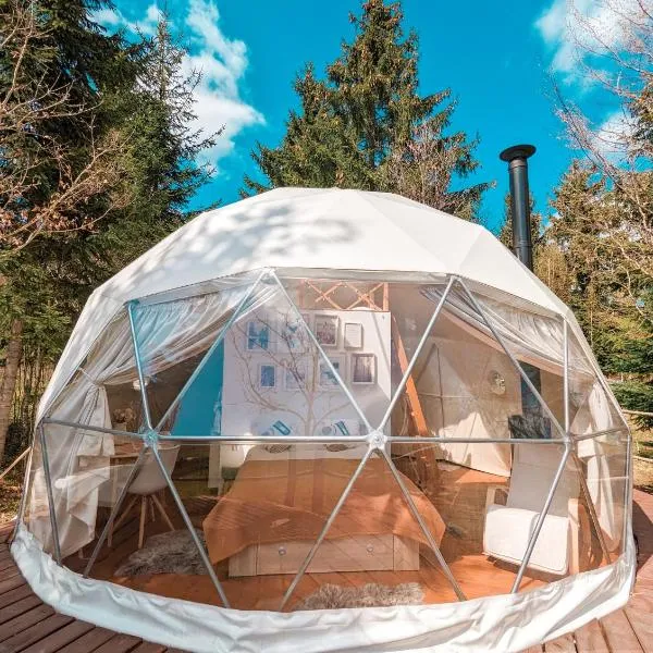 Medve Dome - Luxury Camping in the middle of nature, hotel in Băile Chirui