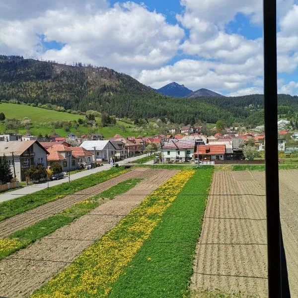 Apartmán Family, hotel Lucskiban