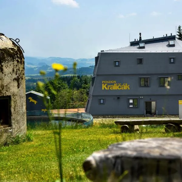 Penzion Kraličák, hotel ve Starém Městě