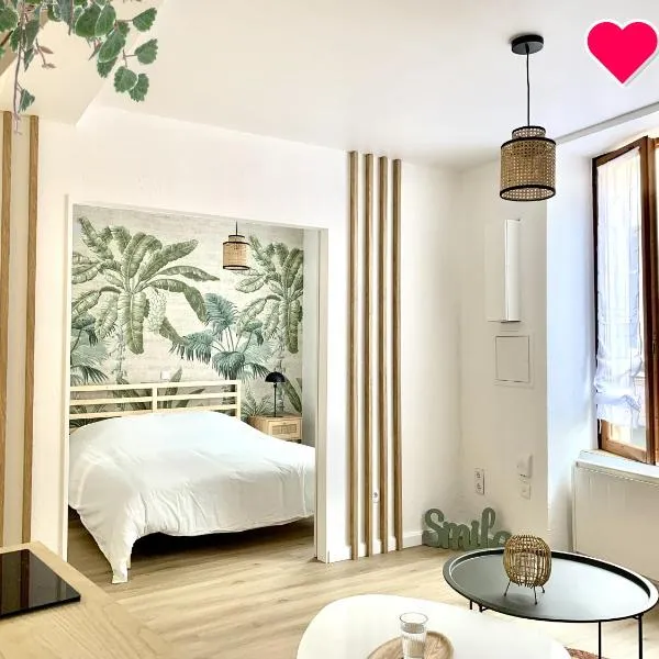 Charmant appartement au cœur de Neuville - Lyon à 20mn, hotel v destinácii Neuville-sur-Saône